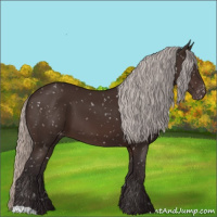 Horse Color:Silver Brown Snowflake Varnish