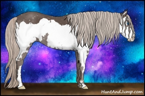 Horse Color:Silver Black Splash Frame