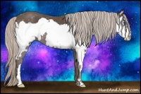Horse Color:Silver Black Splash Frame