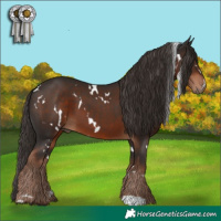 Horse Color:White Spotted Liver Chestnut 