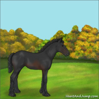 Horse Color:Brown 