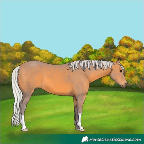 Horse Color:Watercolor Silver Bay 