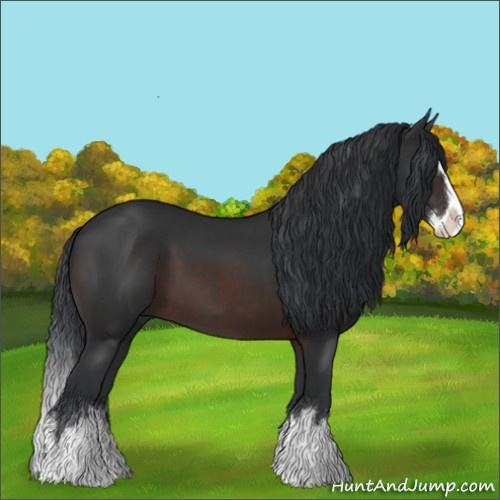 Horse Color:Brown Sabino Splash