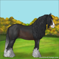Horse Color:Brown Sabino Splash 