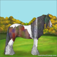 Horse Color:Nacre Brown Sabino Tobiano 