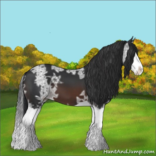 Horse Color:Brown Ice Splash