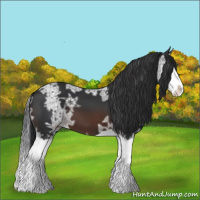 Horse Color:Brown Ice Splash 