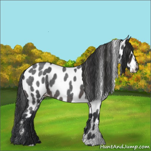 Horse Color:Brown Roan Leopard