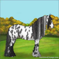 Horse Color:Brown Roan Leopard 