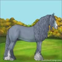 Horse Color:Watercolor Brown Sabino