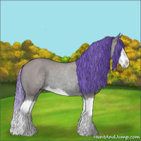 Horse Color:Watercolor Bay Splash 