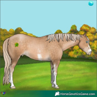 Horse Color:White Spotted Chocolate Palomino Pearl 