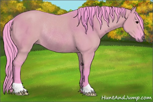 Horse Color:Watercolor Grullo Rabicano 