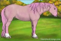 Horse Color:Watercolor Grullo Rabicano