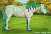 Horse Color:Watercolor Grullo Ice Sabino Rabicano 