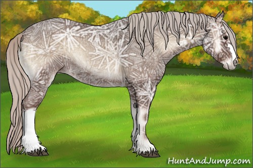 Horse Color:Silver Blue Onyx Ice Rabicano 