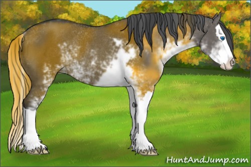 Horse Color:Grullo Sabino Splash Rabicano 