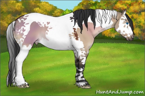 Horse Color:Bay Dun Splash Tobiano 