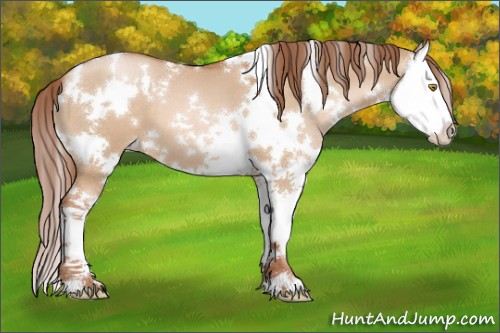 Horse Color:White Spotted Chocolate Bay Pearl Dun Splash 