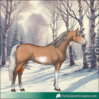 Horse Color:Silver Bay Dun Sabino Tobiano Frame Rabicano 