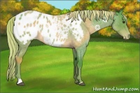 Horse Color:Watercolor Chocolate Palomino Roan Blanket 