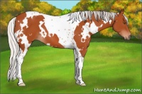 Horse Color:White Spotted Silver Bay Tobiano