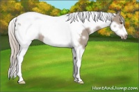 Horse Color:White Spotted Silver Grullo Tobiano Frame Blanket 