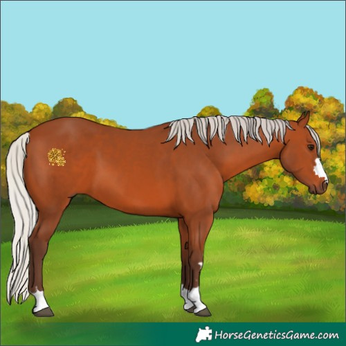 Horse Color:Silver Bay 