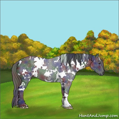 Horse Color:Nacre White Spotted Liver Red Roan 