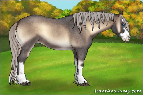 Horse Color:Silver Brown Roan Onyx Splash 