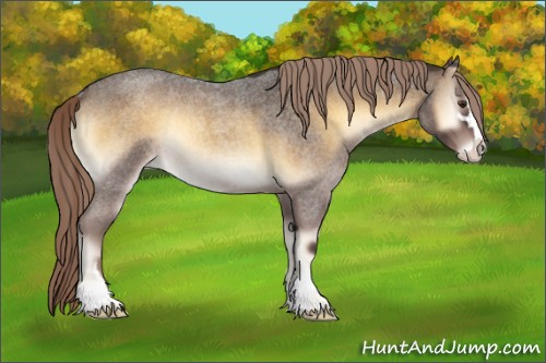 Horse Color:Chocolate Palomino Roan Onyx Sabino Rabicano 