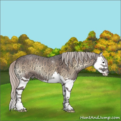 Horse Color:Silver Brown Ice Roan Onyx Sabino Splash 