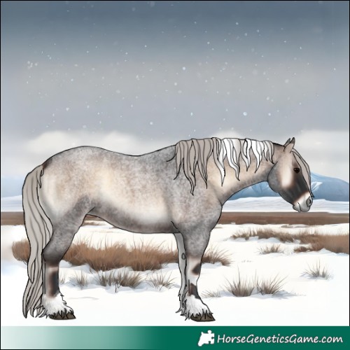 Horse Color:Silver Brown Roan Onyx Tobiano 