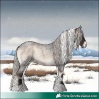 Horse Color:Silver Brown Roan Onyx Tobiano