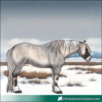Horse Color:Silver Brown Roan Onyx Tobiano