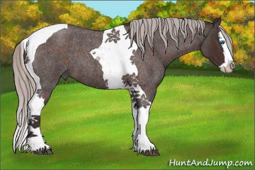 Horse Color:Silver Brown Roan Splash Tobiano 