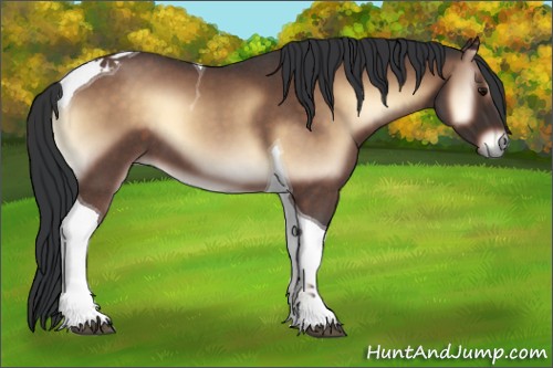 Horse Color:Brown Roan Onyx Tobiano 