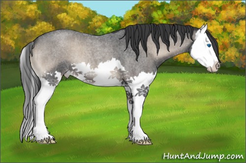 Horse Color:Blue Onyx Roan Splash 