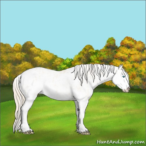 Horse Color:Perlino Sabino Rabicano and Perlino Sabino Rabicano