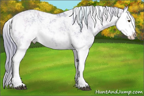 Horse Color:Watercolor Bay Ice Dun Sabino Splash Rabicano 