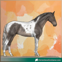 Horse Color:Silver Black Tobiano Rabicano 