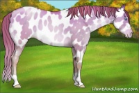 Horse Color:Chocolate Buckskin Pearl Dun Near Leopard 
