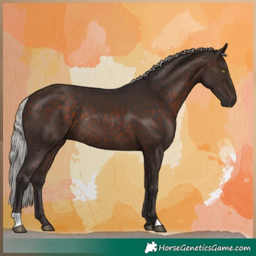 Horse Color:Silver Brown Mushroom Rabicano 