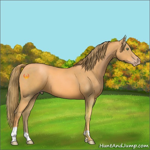 Horse Color:Watercolor Gold Champagne 