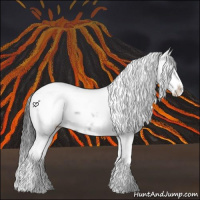 Horse Color:Black Frame 