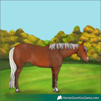 Horse Color:Silver Bay 