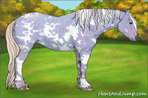 Horse Color:Watercolor White Spotted Silver Black Tobiano 