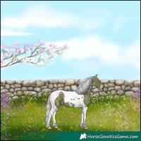 Horse Color:Plaid Silver Buckskin Ice Pearl Dun Tobiano
