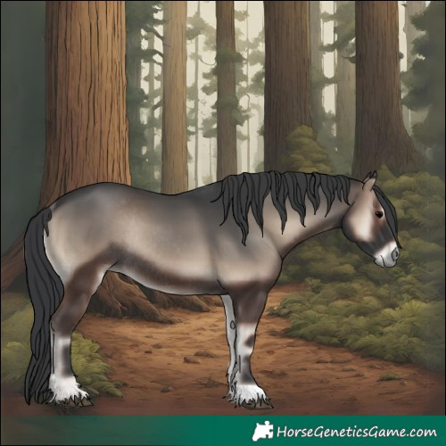 Horse Color:Blue Onyx Rabicano 