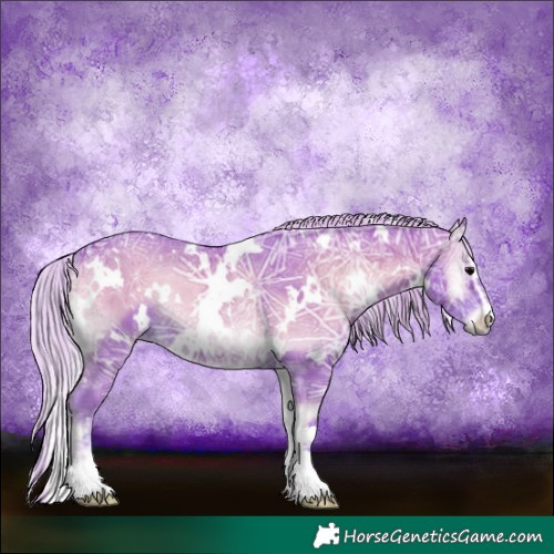 Horse Color:Watercolor White Spotted Silver Blue Onyx Ice Sabino Rabicano 